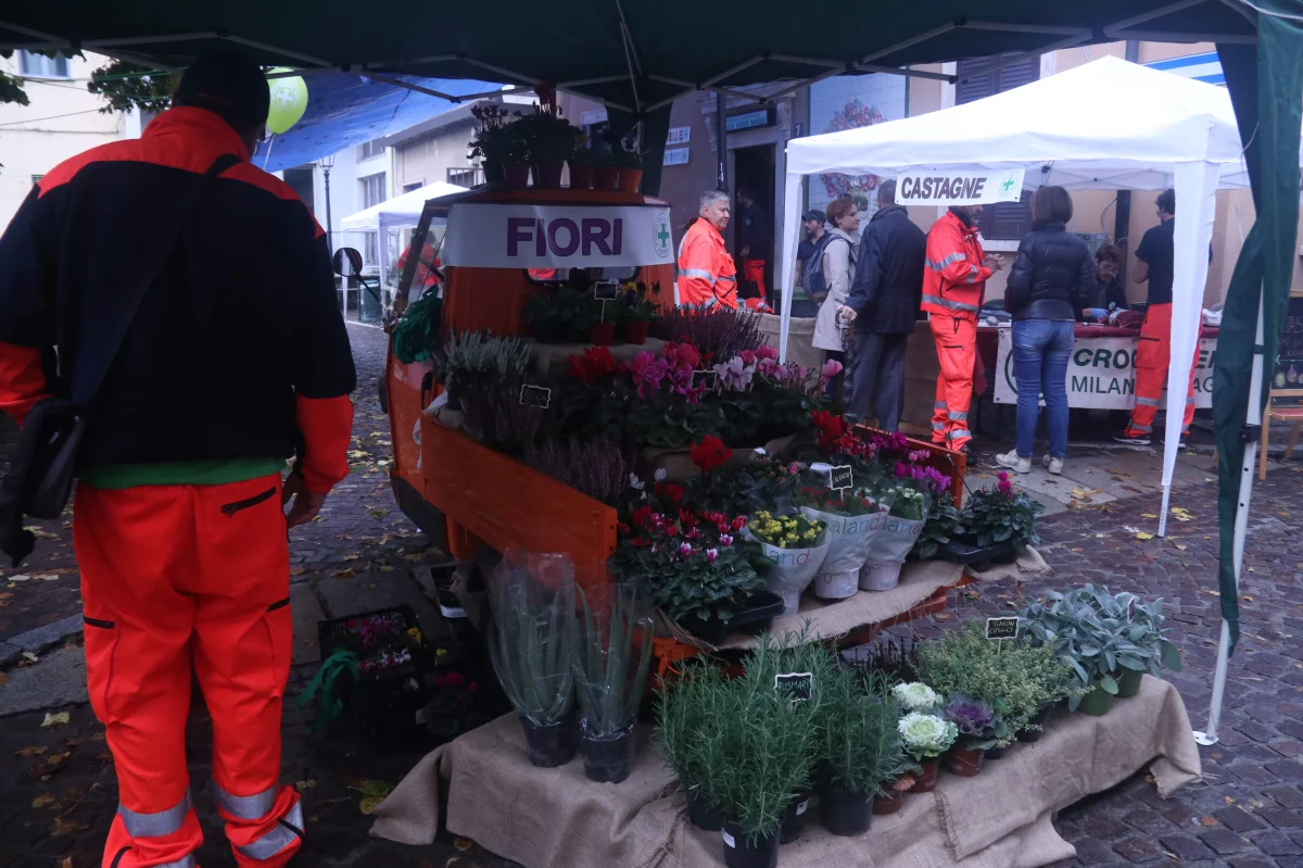 Sagra di Baggio 2019
